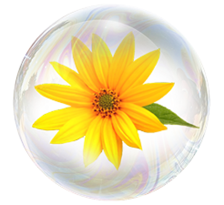 Топинамбур 