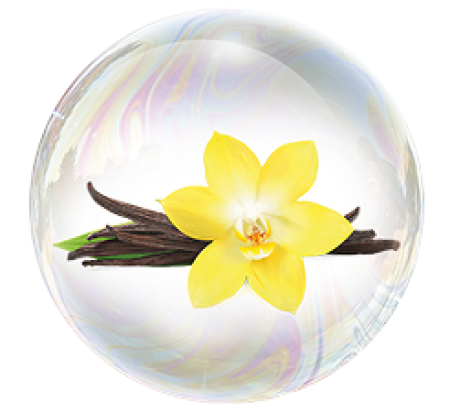 Ваниль сорта «Бурбон»