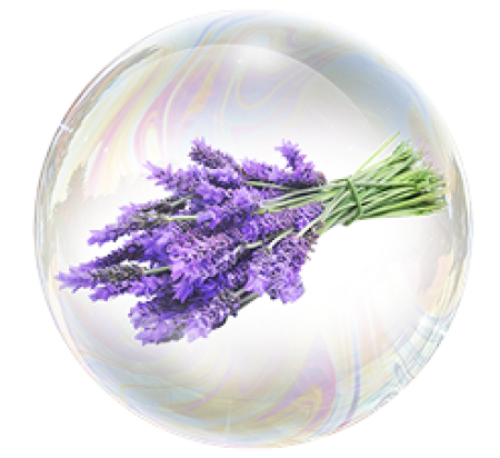 Экстракт лаванды 