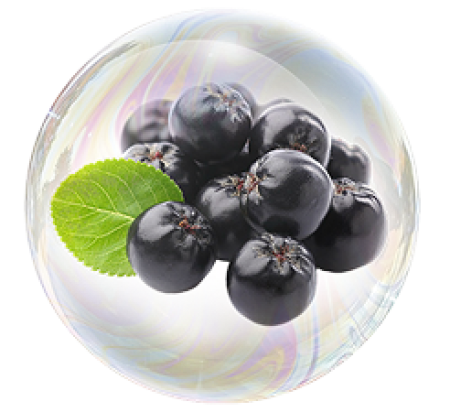 Ягода аронии