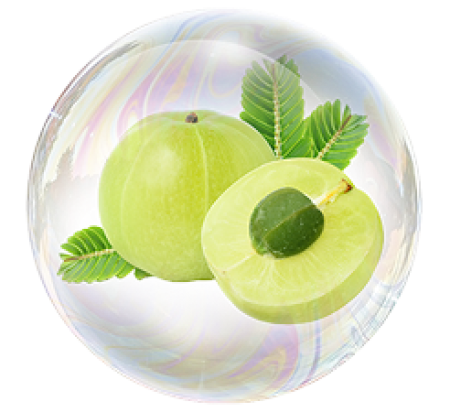 Экстракт эмблики